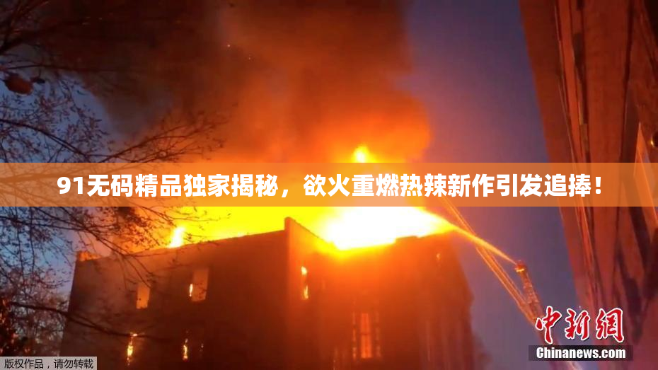 91无码精品独家揭秘，欲火重燃热辣新作引发追捧！