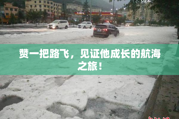 赞一把路飞，见证他成长的航海之旅！