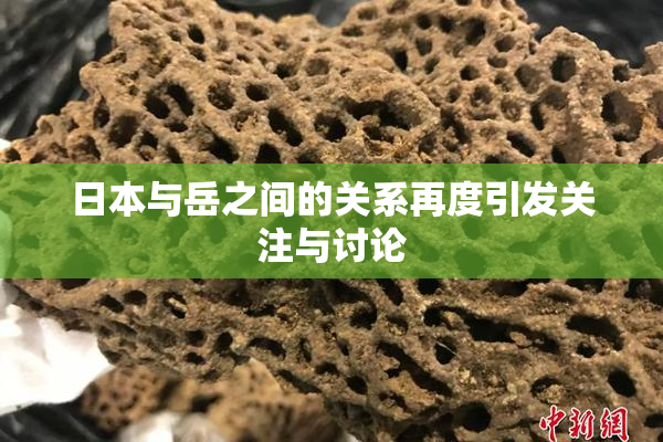 日本与岳之间的关系再度引发关注与讨论