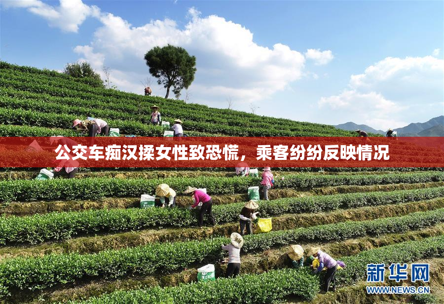 公交车痴汉揉女性致恐慌，乘客纷纷反映情况