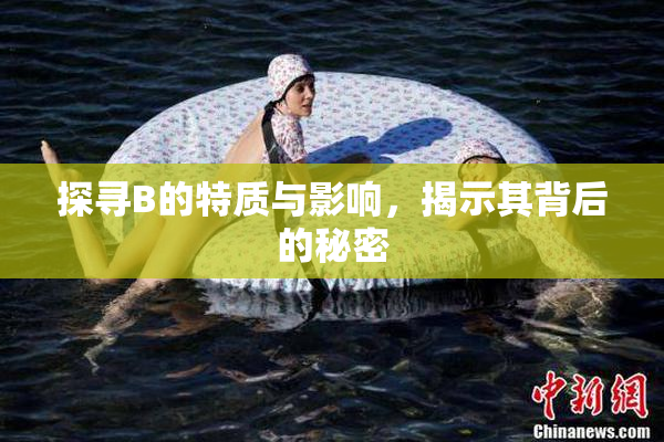 探寻B的特质与影响，揭示其背后的秘密