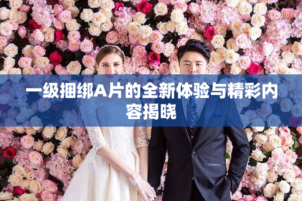 一级捆绑A片的全新体验与精彩内容揭晓