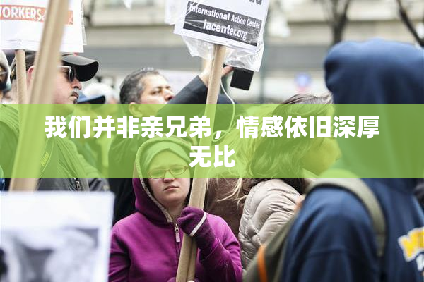 我们并非亲兄弟，情感依旧深厚无比
