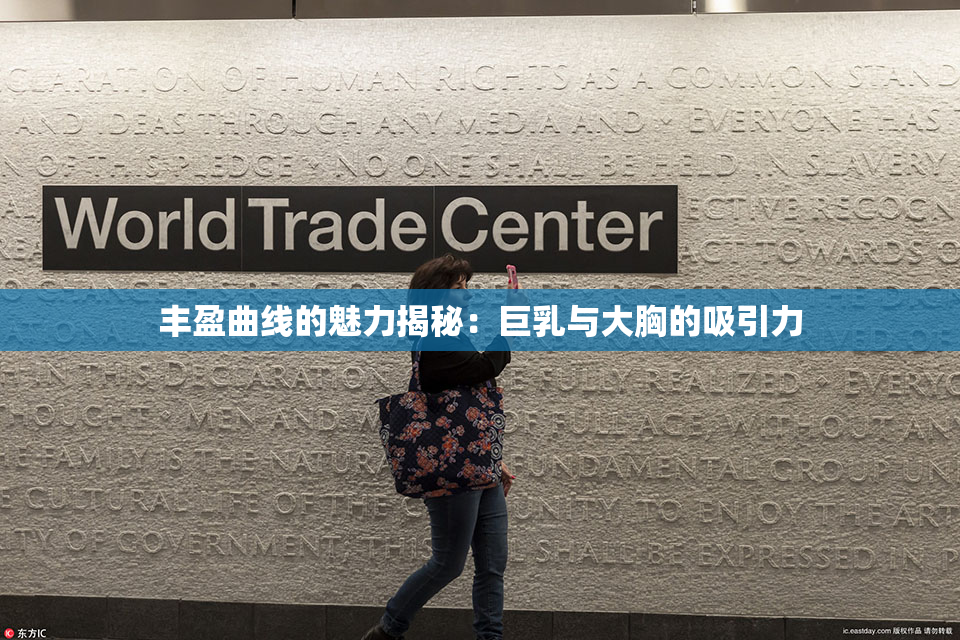 丰盈曲线的魅力揭秘：巨乳与大胸的吸引力