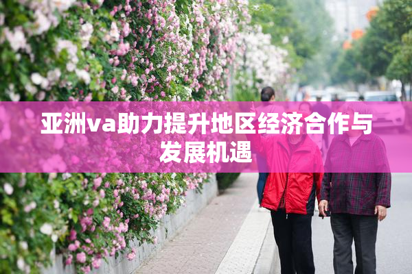 亚洲va助力提升地区经济合作与发展机遇