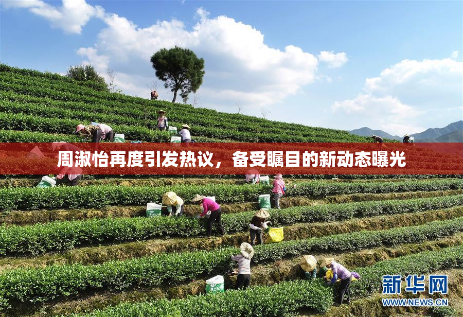 周淑怡再度引发热议，备受瞩目的新动态曝光