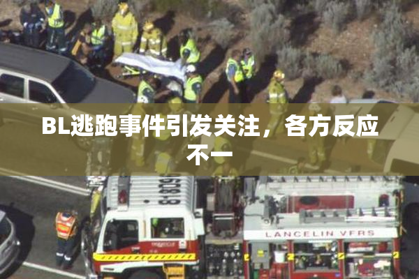 BL逃跑事件引发关注，各方反应不一