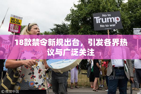 18款禁令新规出台，引发各界热议与广泛关注
