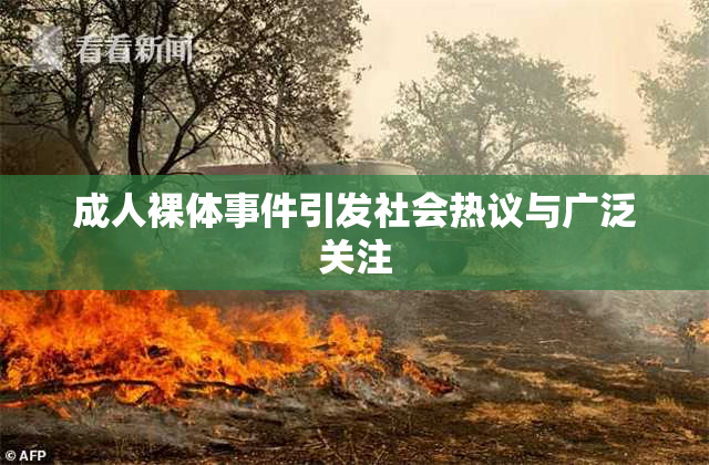 成人裸体事件引发社会热议与广泛关注