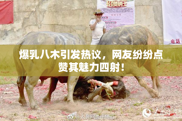 爆乳八木引发热议，网友纷纷点赞其魅力四射！