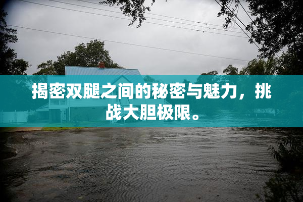 揭密双腿之间的秘密与魅力，挑战大胆极限。
