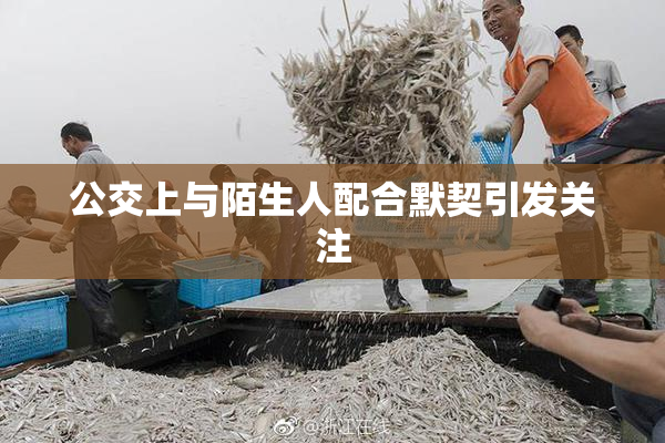 公交上与陌生人配合默契引发关注