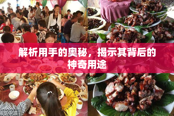 解析用手的奥秘，揭示其背后的神奇用途