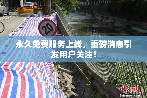 永久免费服务上线，重磅消息引发用户关注！