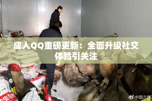 成人QQ重磅更新：全面升级社交体验引关注