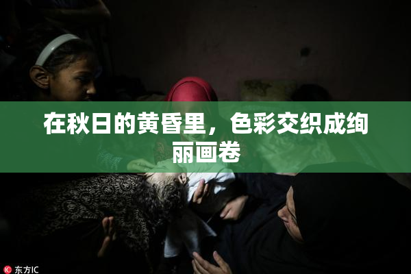 在秋日的黄昏里，色彩交织成绚丽画卷