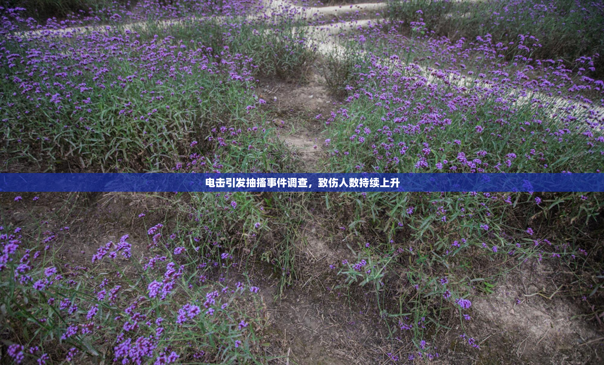 电击引发抽搐事件调查，致伤人数持续上升