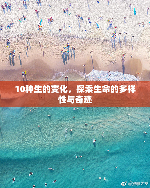 10种生的变化，探索生命的多样性与奇迹