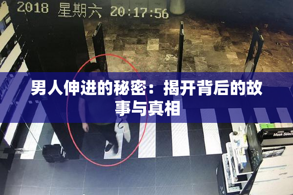 男人伸进的秘密：揭开背后的故事与真相