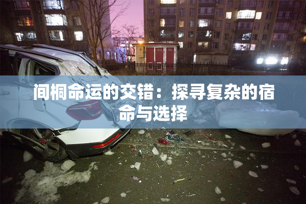 间桐命运的交错：探寻复杂的宿命与选择