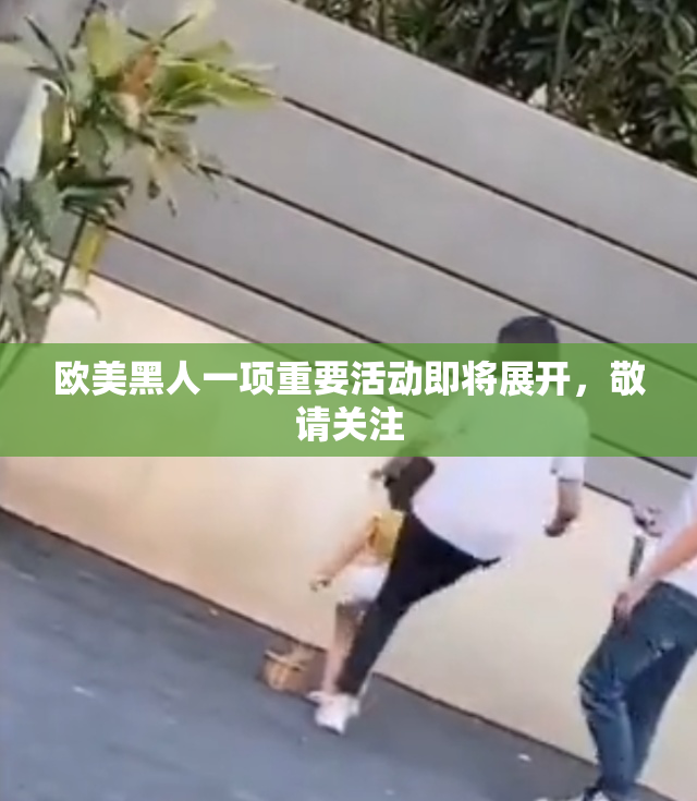 欧美黑人一项重要活动即将展开，敬请关注