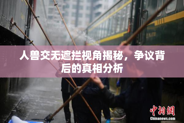 人兽交无遮拦视角揭秘，争议背后的真相分析