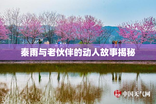 秦雨与老伙伴的动人故事揭秘