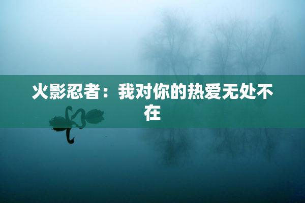 火影忍者：我对你的热爱无处不在