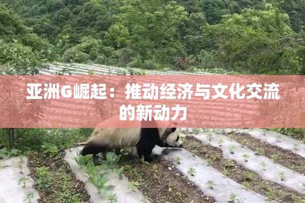 亚洲G崛起：推动经济与文化交流的新动力