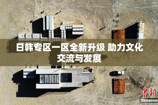 日韩专区一区全新升级 助力文化交流与发展