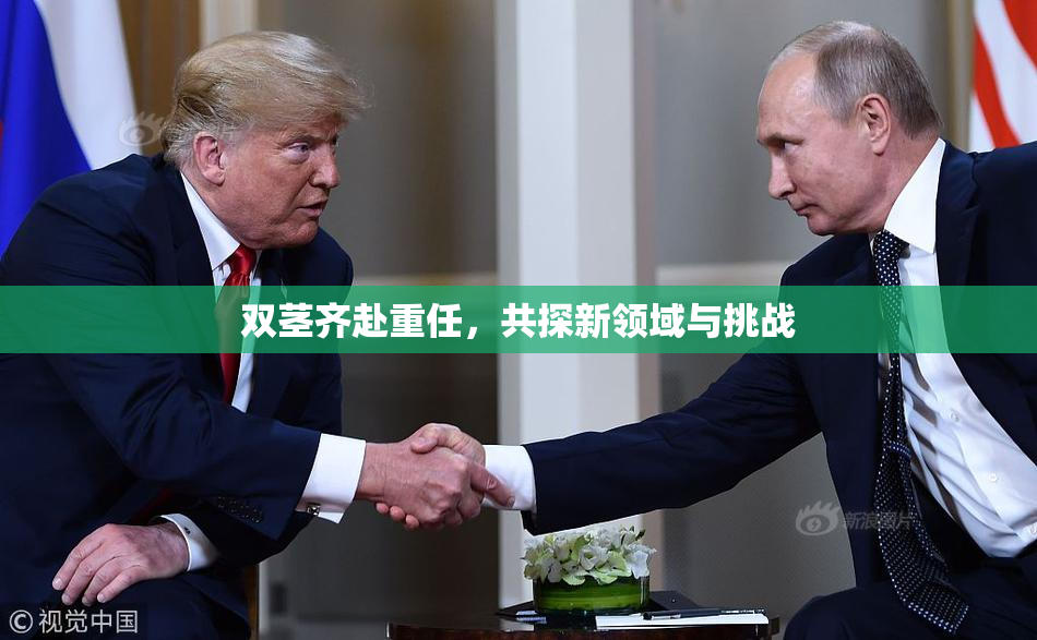 双茎齐赴重任，共探新领域与挑战