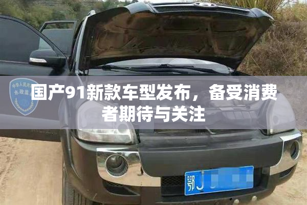 国产91新款车型发布，备受消费者期待与关注
