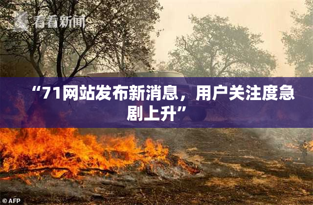 “71网站发布新消息，用户关注度急剧上升”