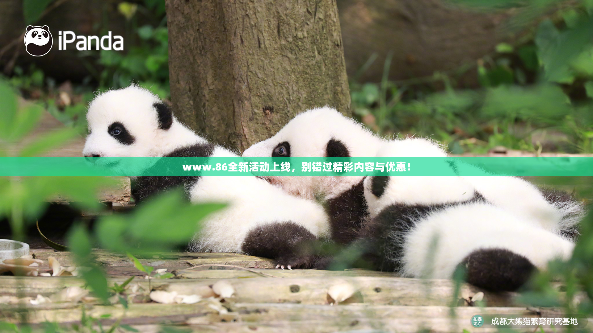 www.86全新活动上线，别错过精彩内容与优惠！