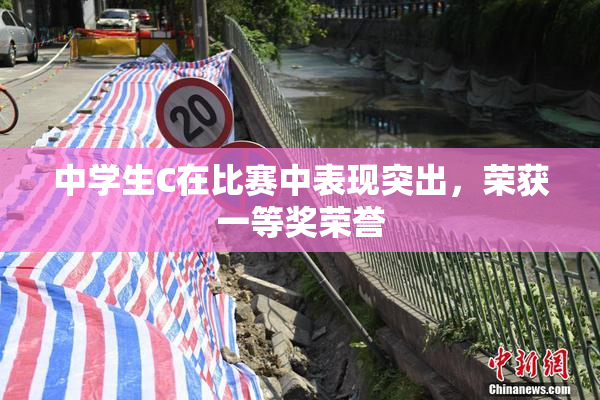 中学生C在比赛中表现突出，荣获一等奖荣誉