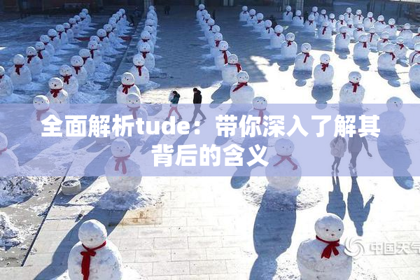 全面解析tude：带你深入了解其背后的含义