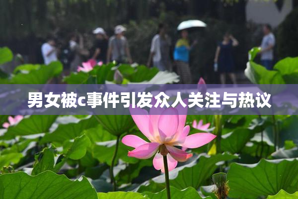 男女被c事件引发众人关注与热议