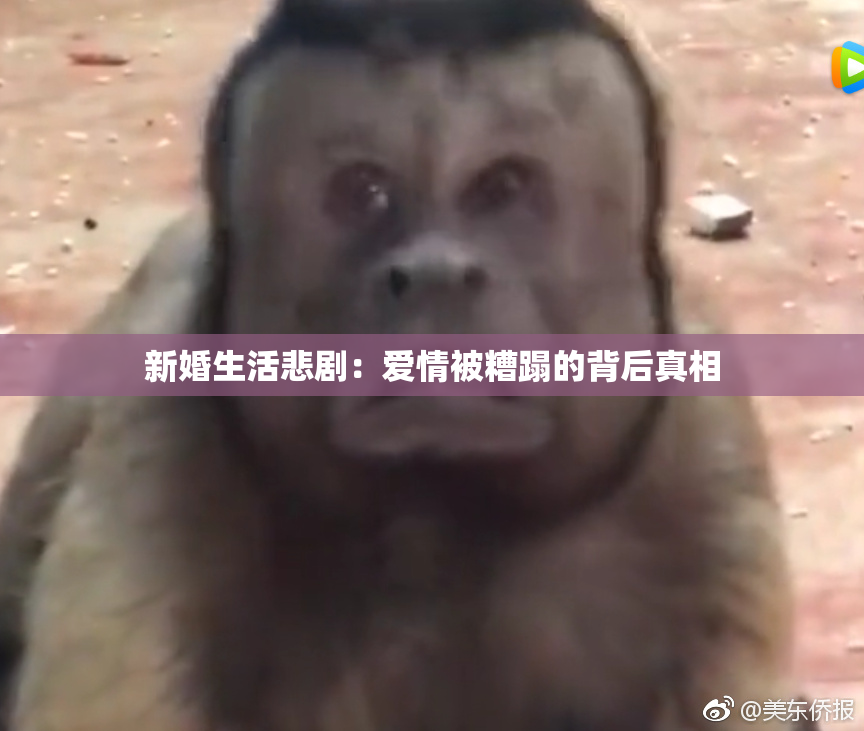 新婚生活悲剧：爱情被糟蹋的背后真相