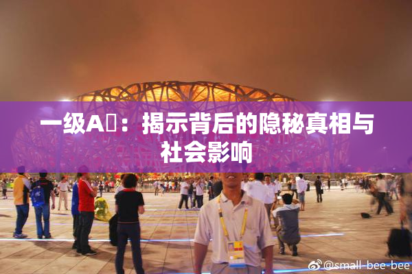 一级A婬：揭示背后的隐秘真相与社会影响