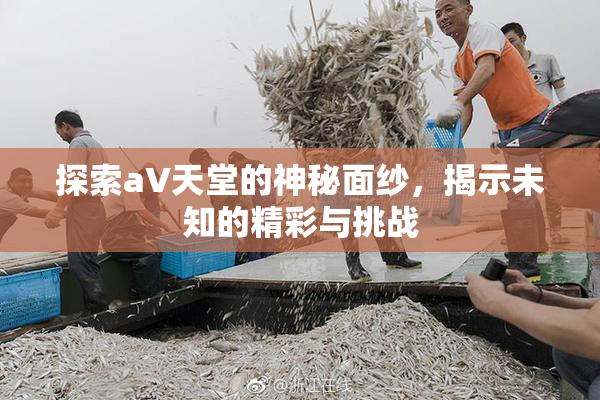 探索a∨天堂的神秘面纱，揭示未知的精彩与挑战