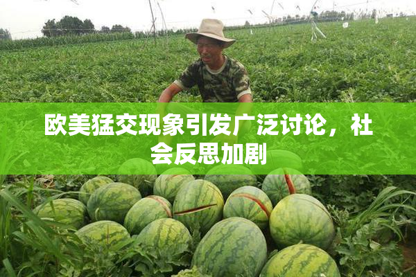 欧美猛交现象引发广泛讨论，社会反思加剧