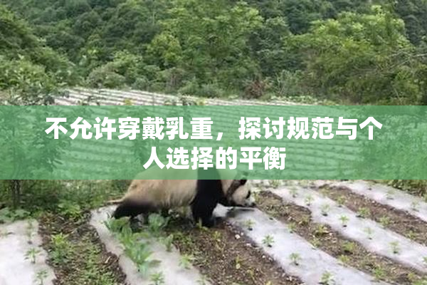 不允许穿戴乳重，探讨规范与个人选择的平衡