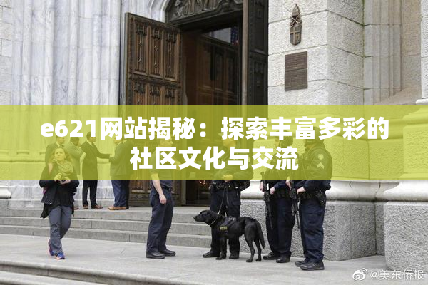 e621网站揭秘：探索丰富多彩的社区文化与交流