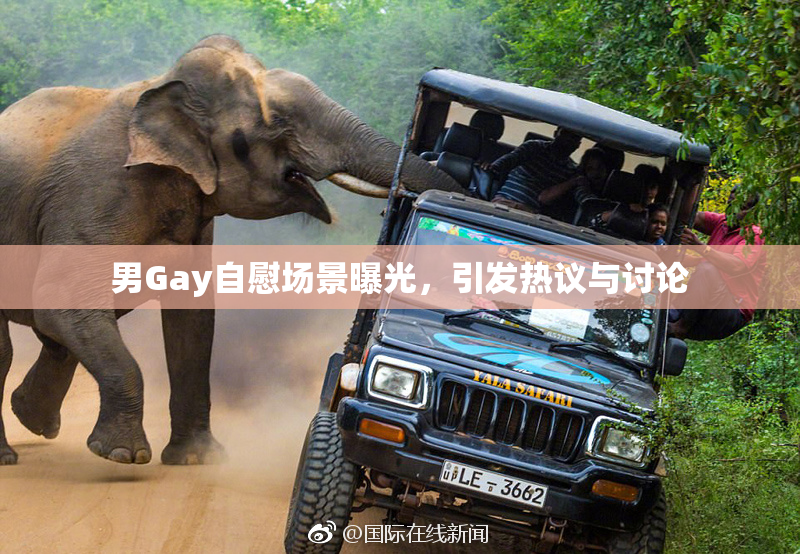 男Gay自慰场景曝光，引发热议与讨论