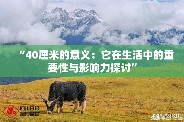 “40厘米的意义：它在生活中的重要性与影响力探讨”