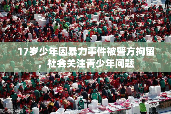17岁少年因暴力事件被警方拘留，社会关注青少年问题