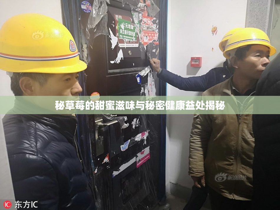 秘草莓的甜蜜滋味与秘密健康益处揭秘