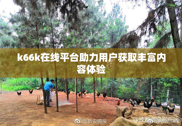 k66k在线平台助力用户获取丰富内容体验