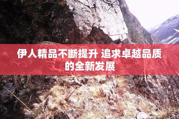 伊人精品不断提升 追求卓越品质的全新发展