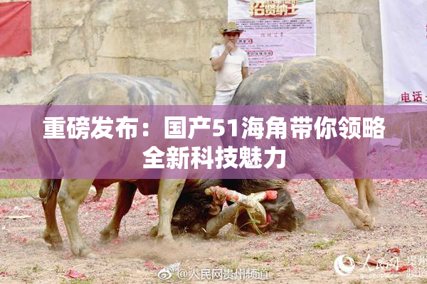 重磅发布：国产51海角带你领略全新科技魅力